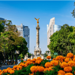 CDMX - CDMX